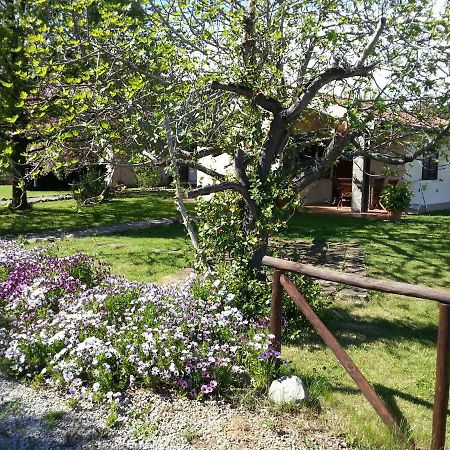 Agriturismo Sicomoro Villa Capalbio Eksteriør billede