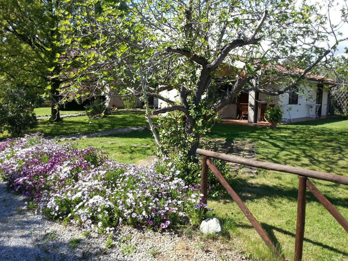 Agriturismo Sicomoro Villa Capalbio Eksteriør billede